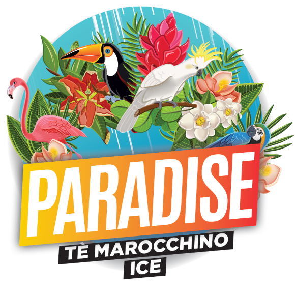 Paradise Te marocchino Ice